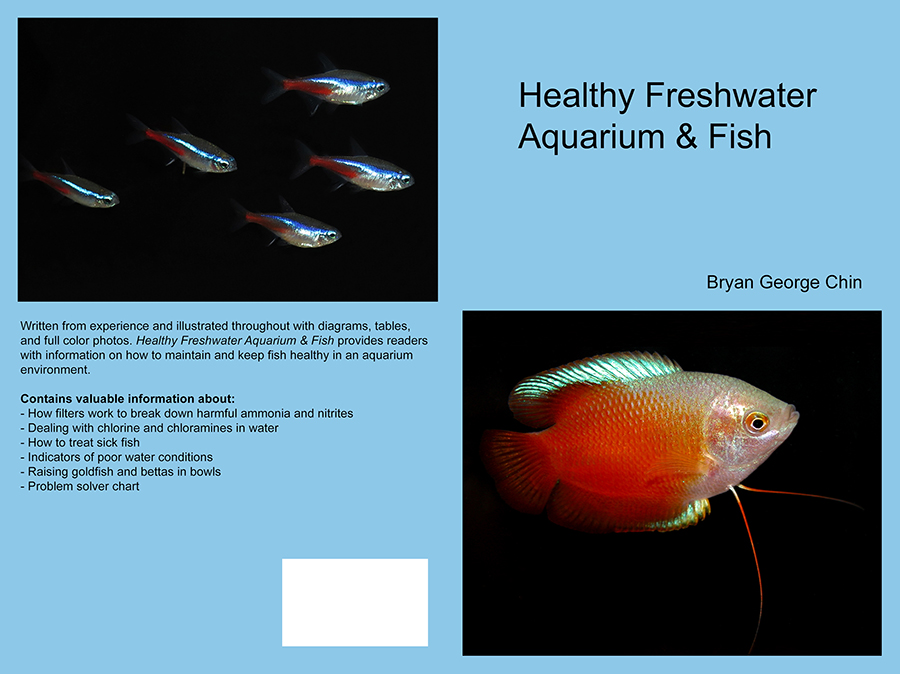 healthy fish aquarium
